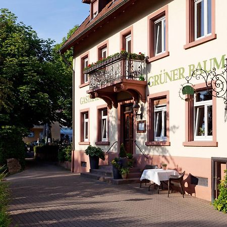 Hotel & Restaurant Gruener Baum Merzhausen Екстериор снимка