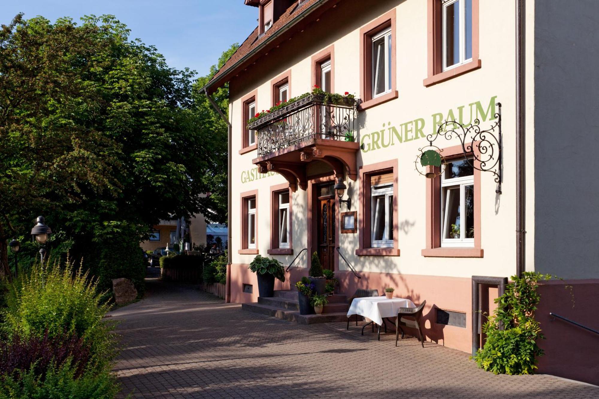 Hotel & Restaurant Gruener Baum Merzhausen Екстериор снимка