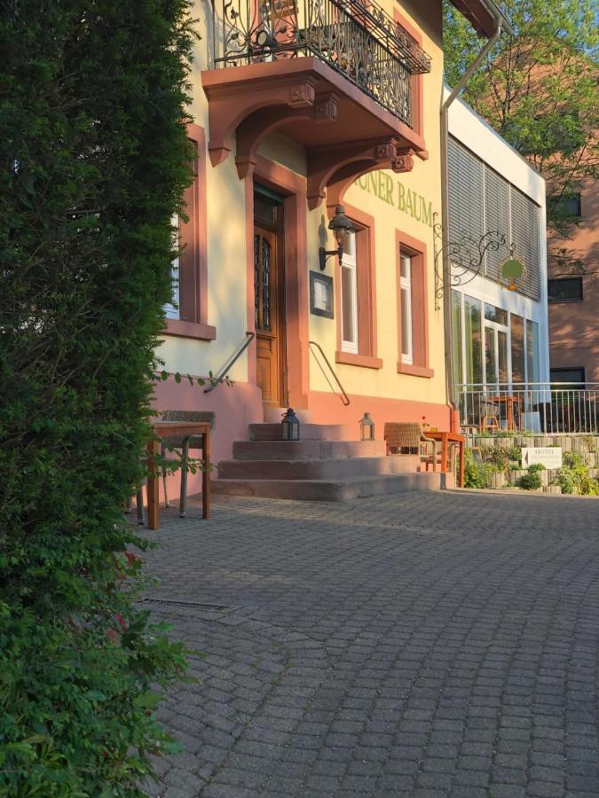 Hotel & Restaurant Gruener Baum Merzhausen Екстериор снимка